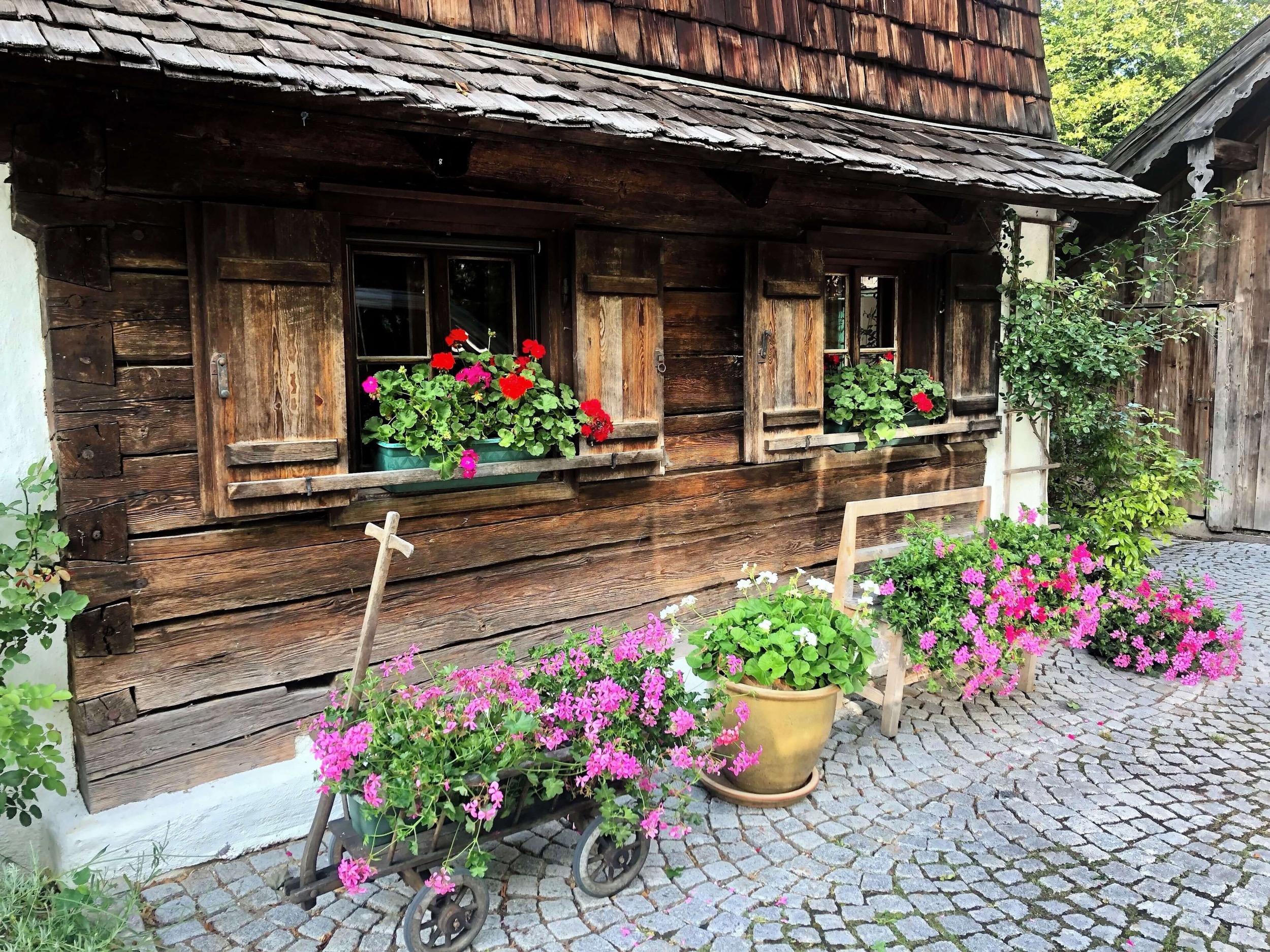 Haus Irrsee Mondsee 10